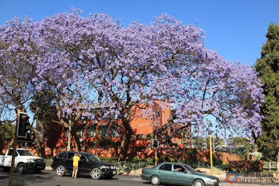 肯尼亚航空广州始发特价机票:广州飞卢萨卡低