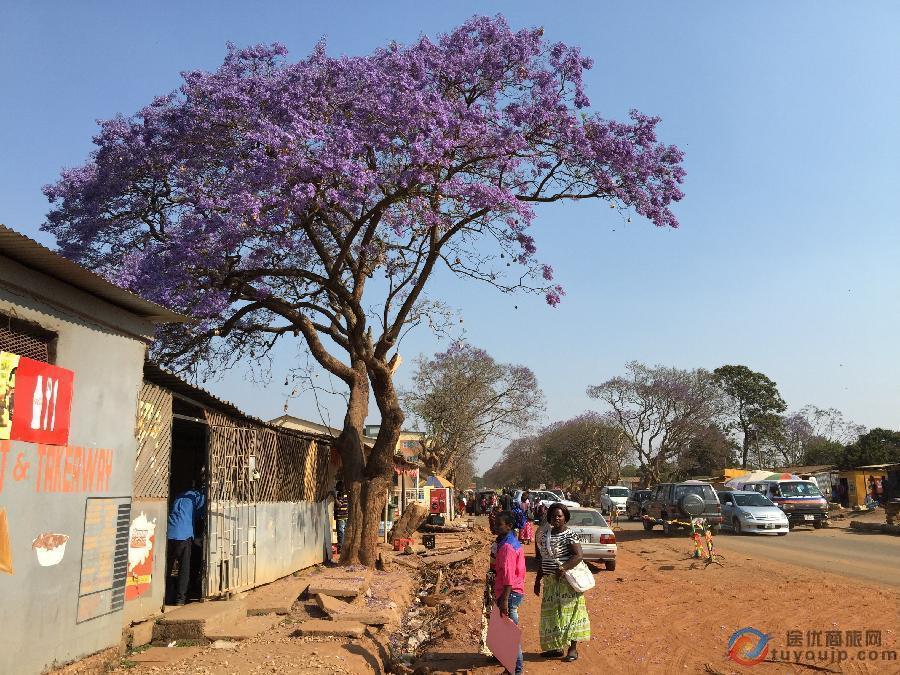 肯尼亚航空广州始发特价机票:广州飞卢萨卡低