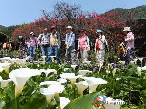 大促!广州飞台北特价机票:往返仅800元起!