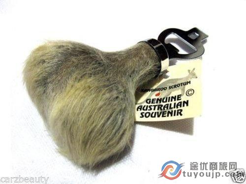 英国王室生了小公主,澳大利亚人送她什么礼物