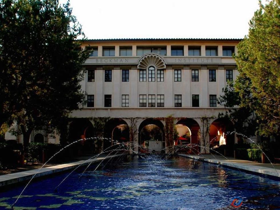 最新全球大学TOP20排行榜:哈佛等美国15所名