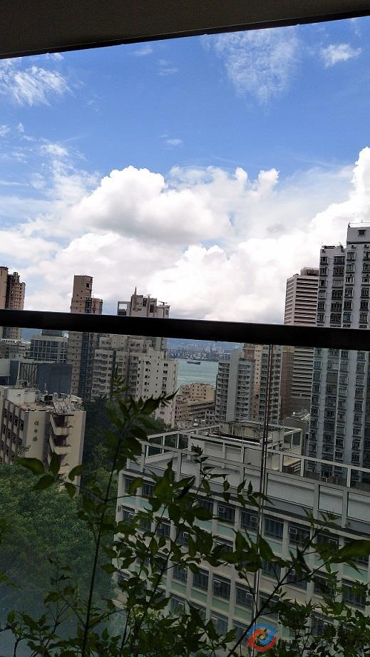 香港大学